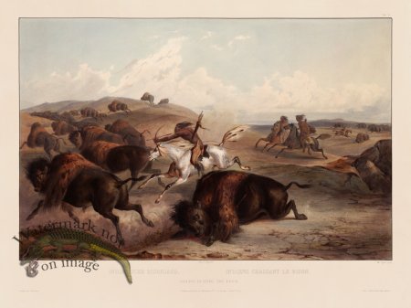 (image for) 31 Hunting Buffalo