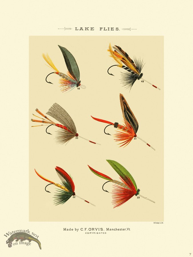 (image for) Favorite Flies 07 Lake