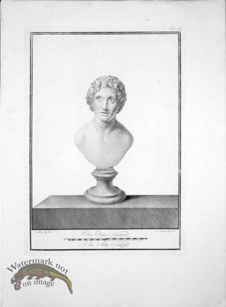 (image for) Ercolano Bust 08