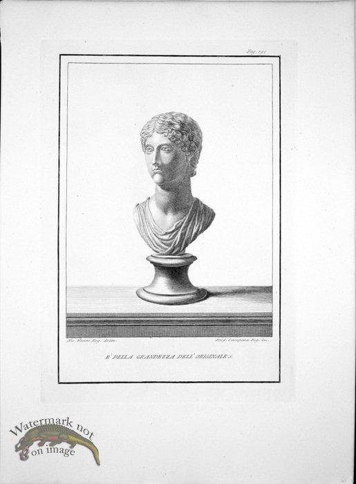 Ercolano Bust 11