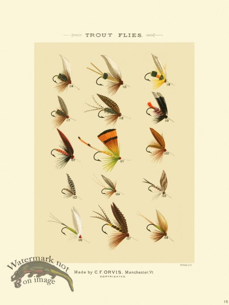 (image for) Favorite Flies 15 Trout