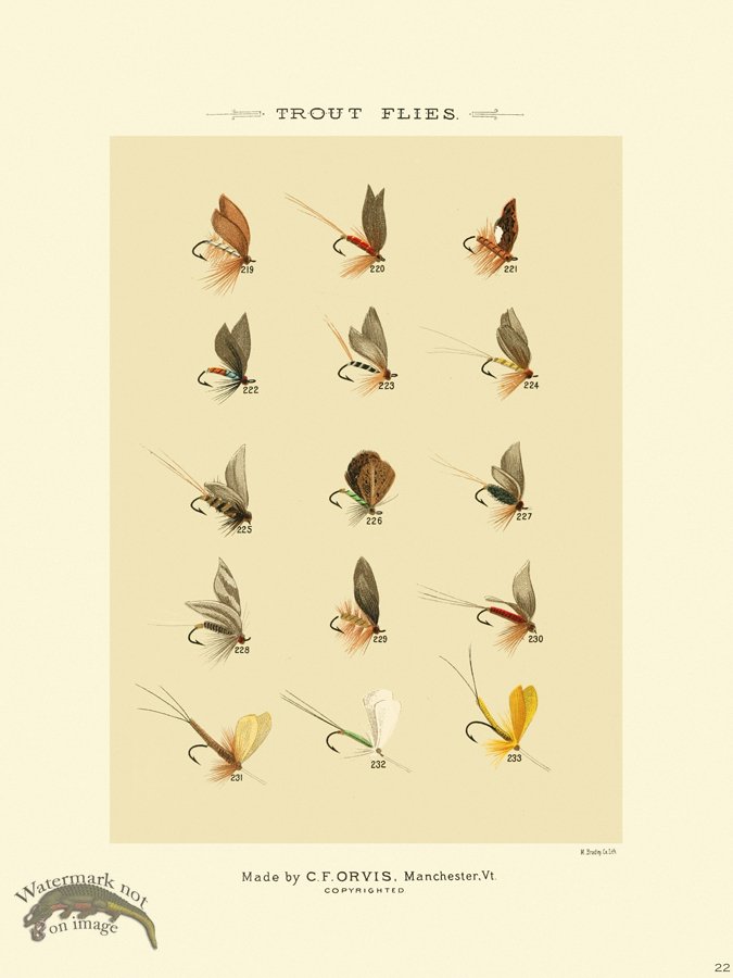 (image for) Favorite Flies 22 Trout