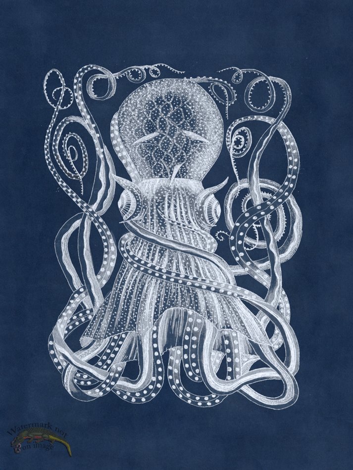 (image for) Octopus Blue 28