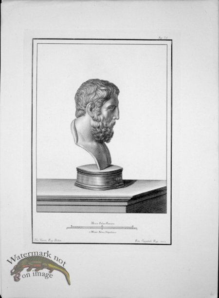 (image for) Ercolano Bust 13