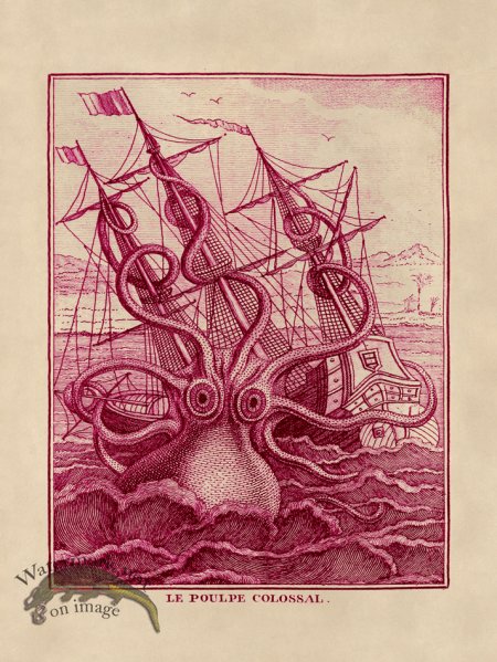 (image for) Octopus Pink 30