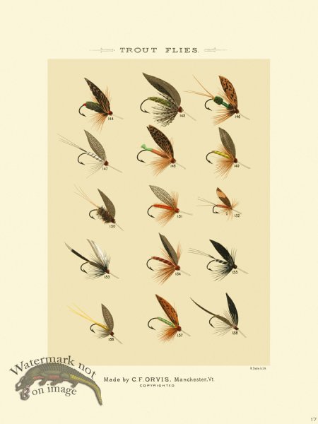 (image for) Favorite Flies 17 Trout