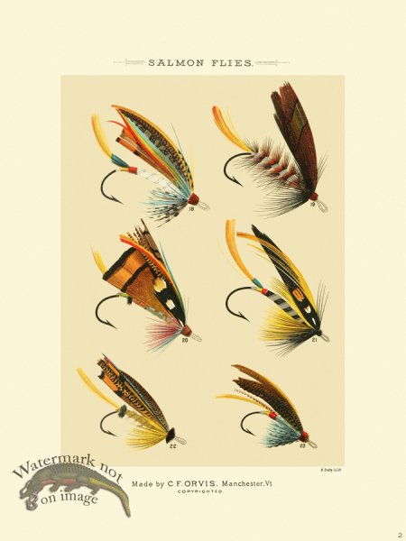 (image for) Favorite Flies 02 Salmon