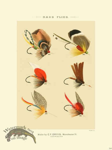 (image for) Favorite Flies 24 Bass