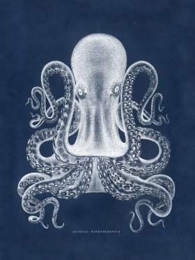 Octopus Blue 02