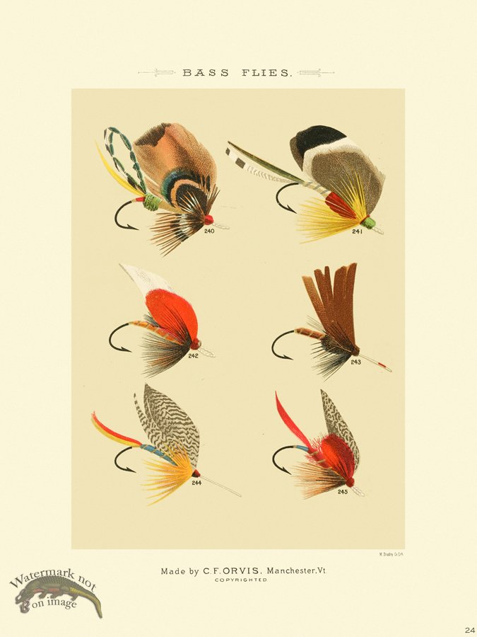 (image for) Favorite Flies 24 Bass