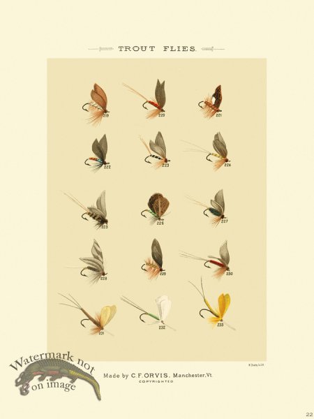 (image for) Favorite Flies 22 Trout