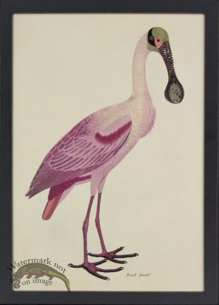 (image for) Tribute BFs 02 -- Spoonbill