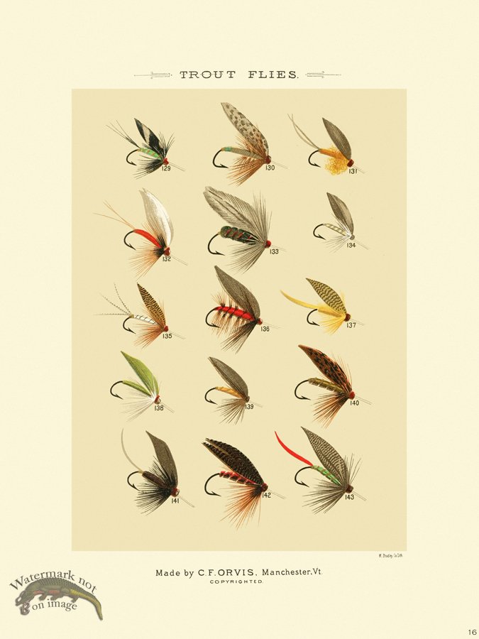 (image for) Favorite Flies 16 Trout