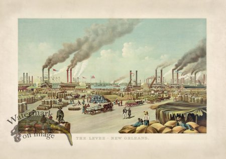 (image for) The Levee New Orleans