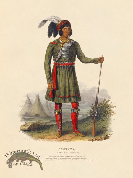 (image for) Asseola Seminole