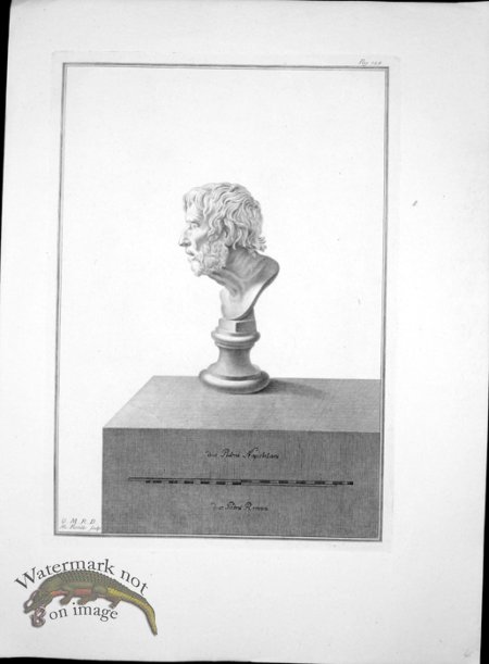 (image for) Ercolano Bust 18