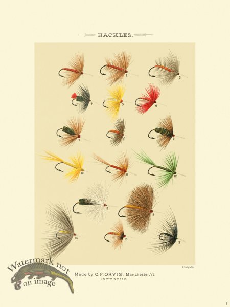 (image for) Favorite Flies 01 Hackles