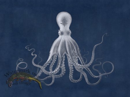 (image for) Savigny Octopus Blue