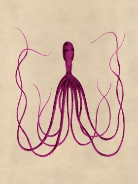 Octopus Pink 23