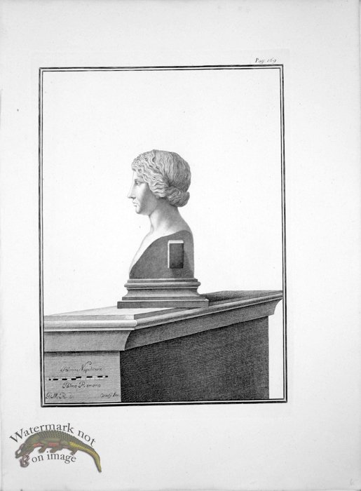 Ercolano Bust 05