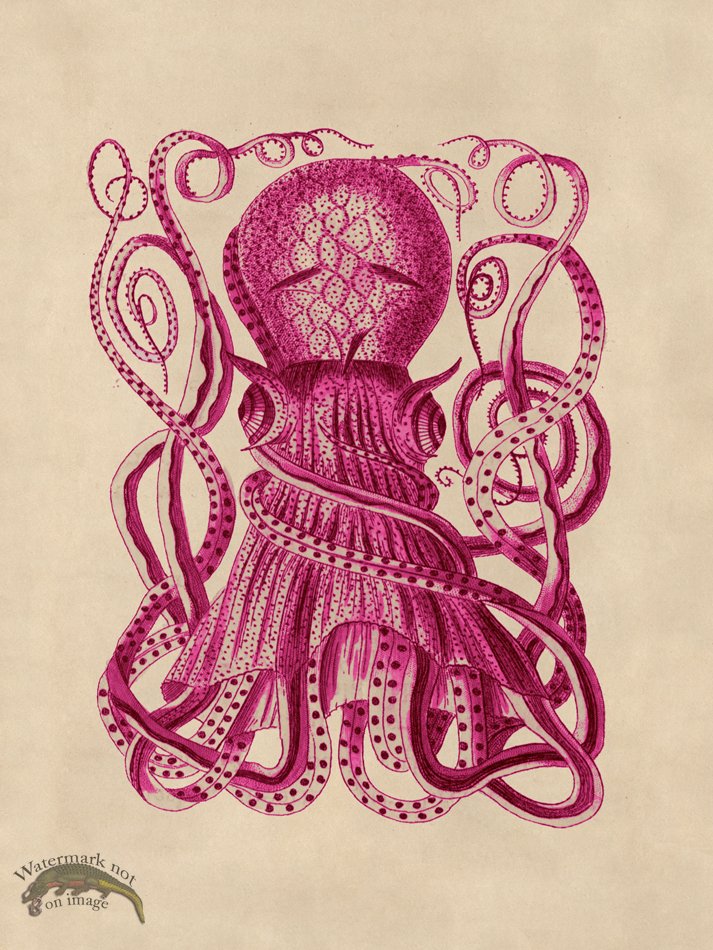 (image for) Octopus Pink 28