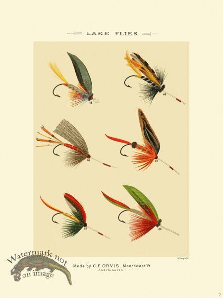 (image for) Favorite Flies 07 Lake