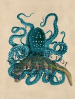 Octopus Teal 26