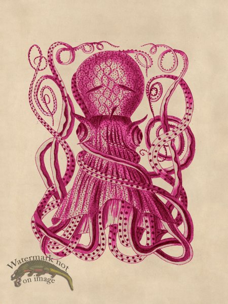 (image for) Octopus Pink 28