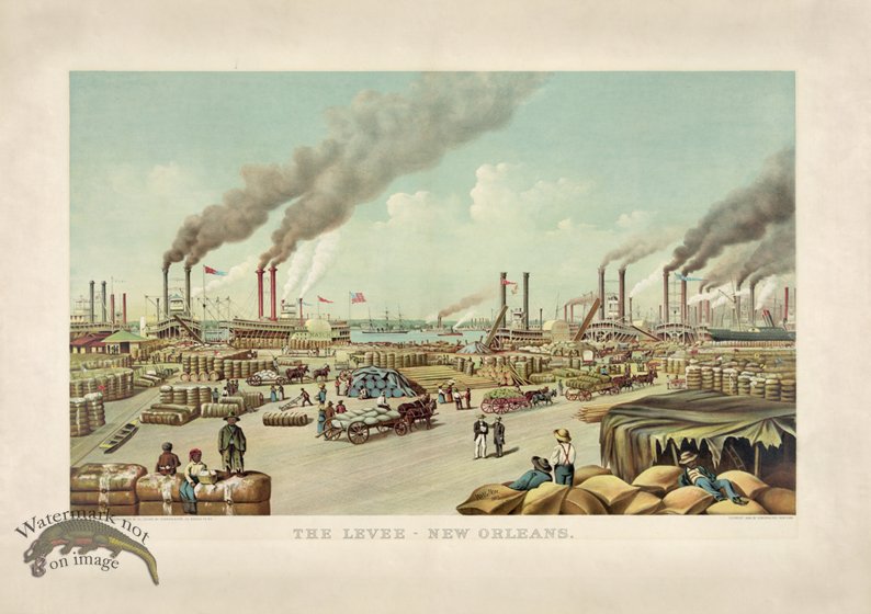 (image for) The Levee New Orleans - Click Image to Close