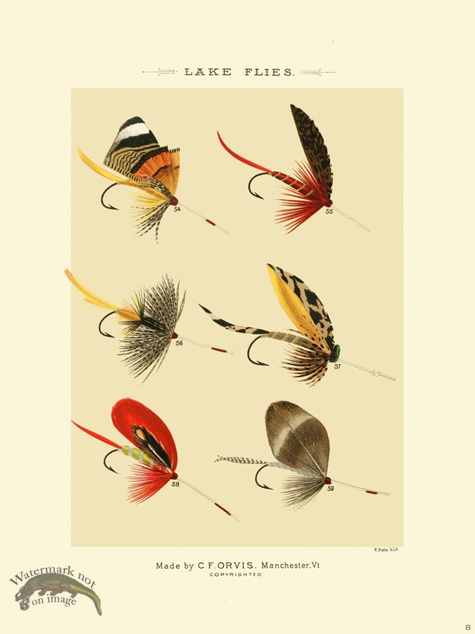 (image for) Favorite Flies 08 Lake