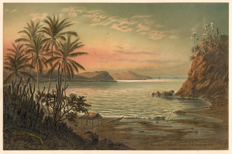 (image for) Tropical View 1