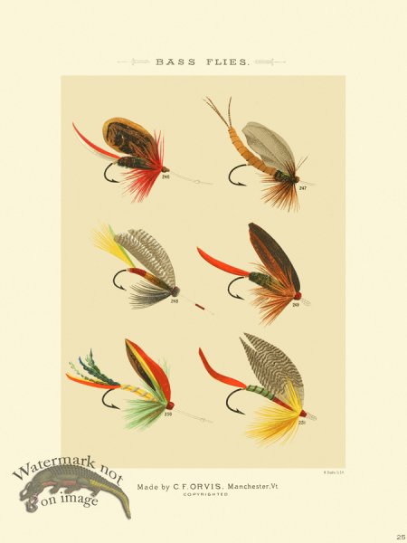 (image for) Favorite Flies 25 Bass