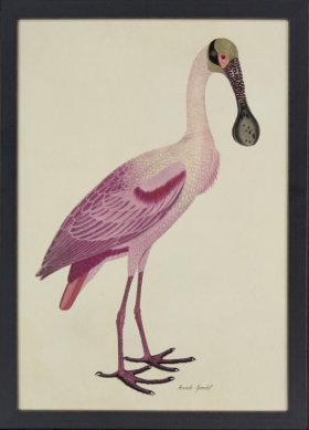 (image for) Tribute BFs 02 -- Spoonbill