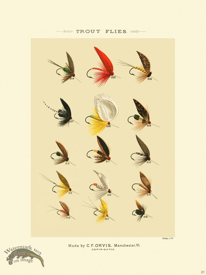 (image for) Favorite Flies 21 Trout