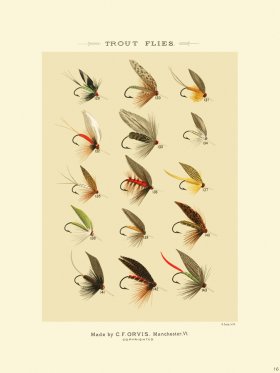 Favorite Flies 16 Trout