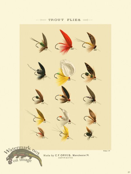 (image for) Favorite Flies 21 Trout