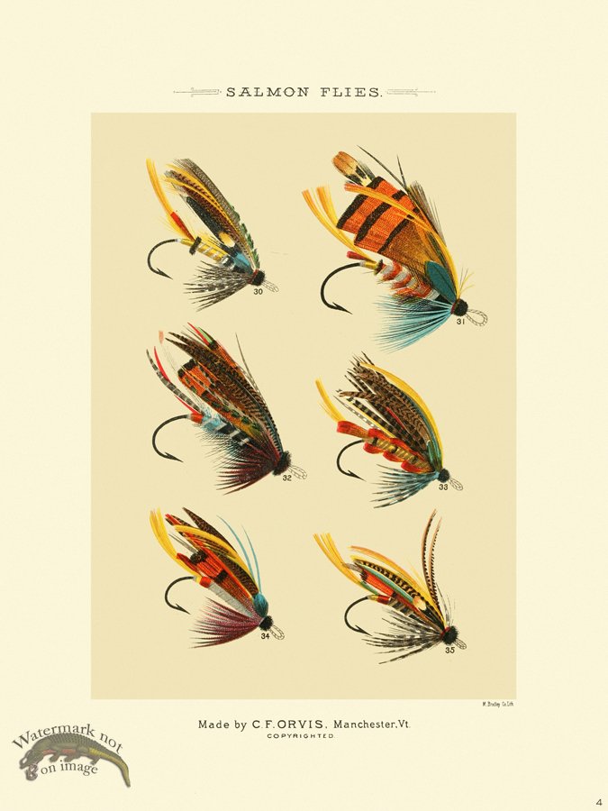 (image for) Favorite Flies 04 Salmon