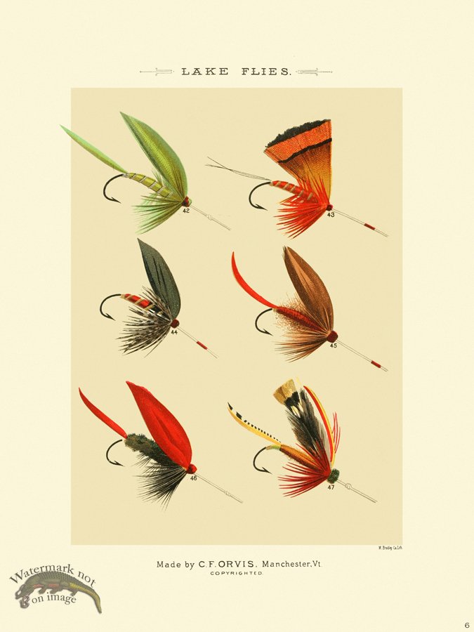 (image for) Favorite Flies 06 Lake