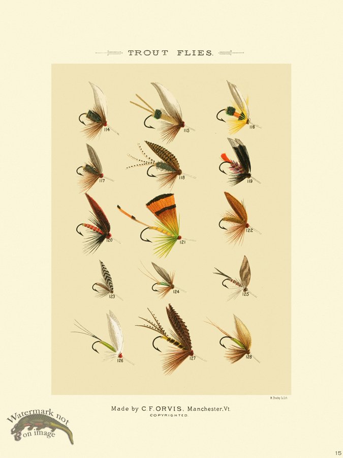 (image for) Favorite Flies 15 Trout