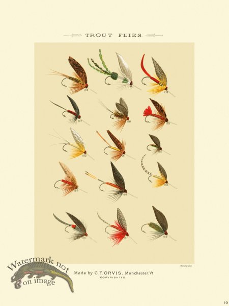 (image for) Favorite Flies 19 Trout