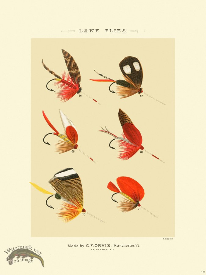 (image for) Favorite Flies 10 Lake