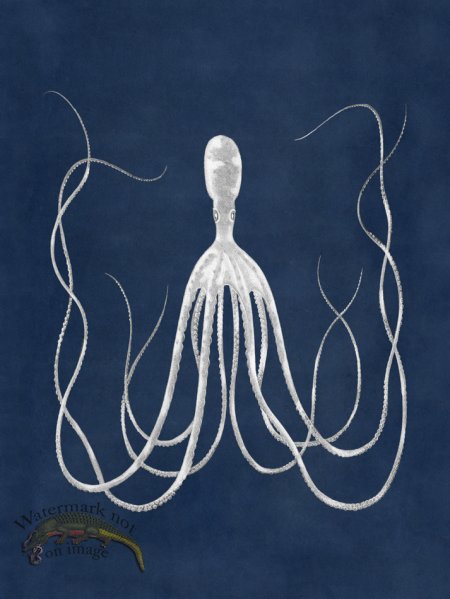 (image for) Octopus Blue 23