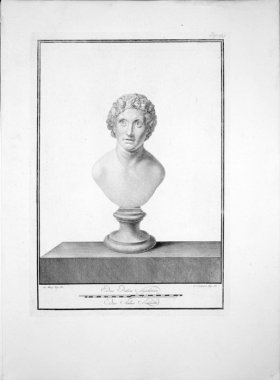 (image for) Ercolano Bust 08