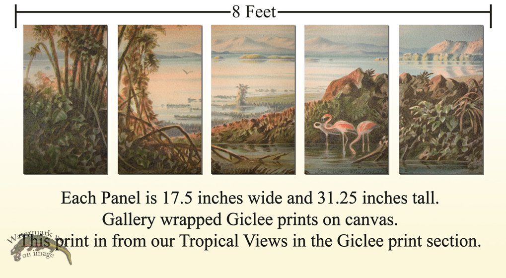 (image for) Tropical View 3