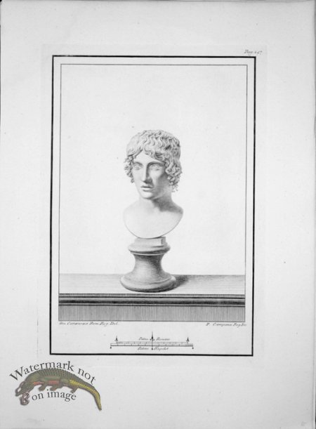 (image for) Ercolano Bust 09