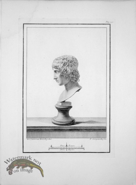 (image for) Ercolano Bust 03