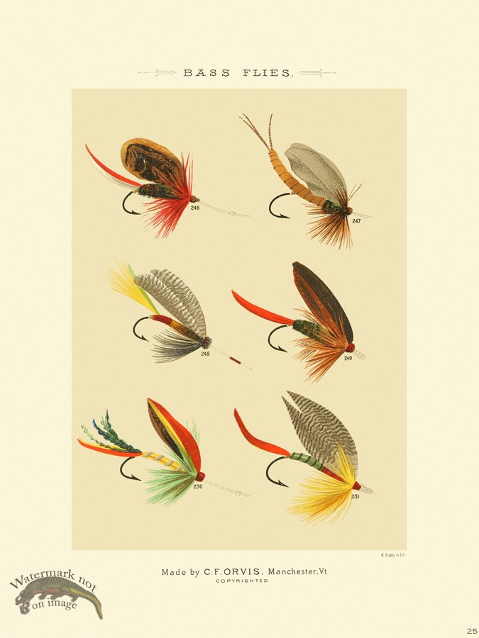 (image for) Favorite Flies 25 Bass