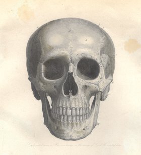 (image for) 1870s Skull