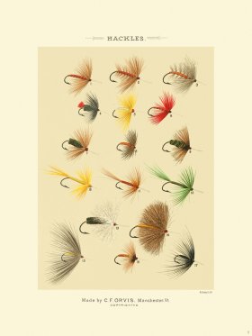 Favorite Flies 01 Hackles