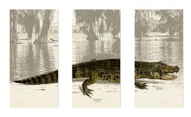 American Alligator Triptych unframed